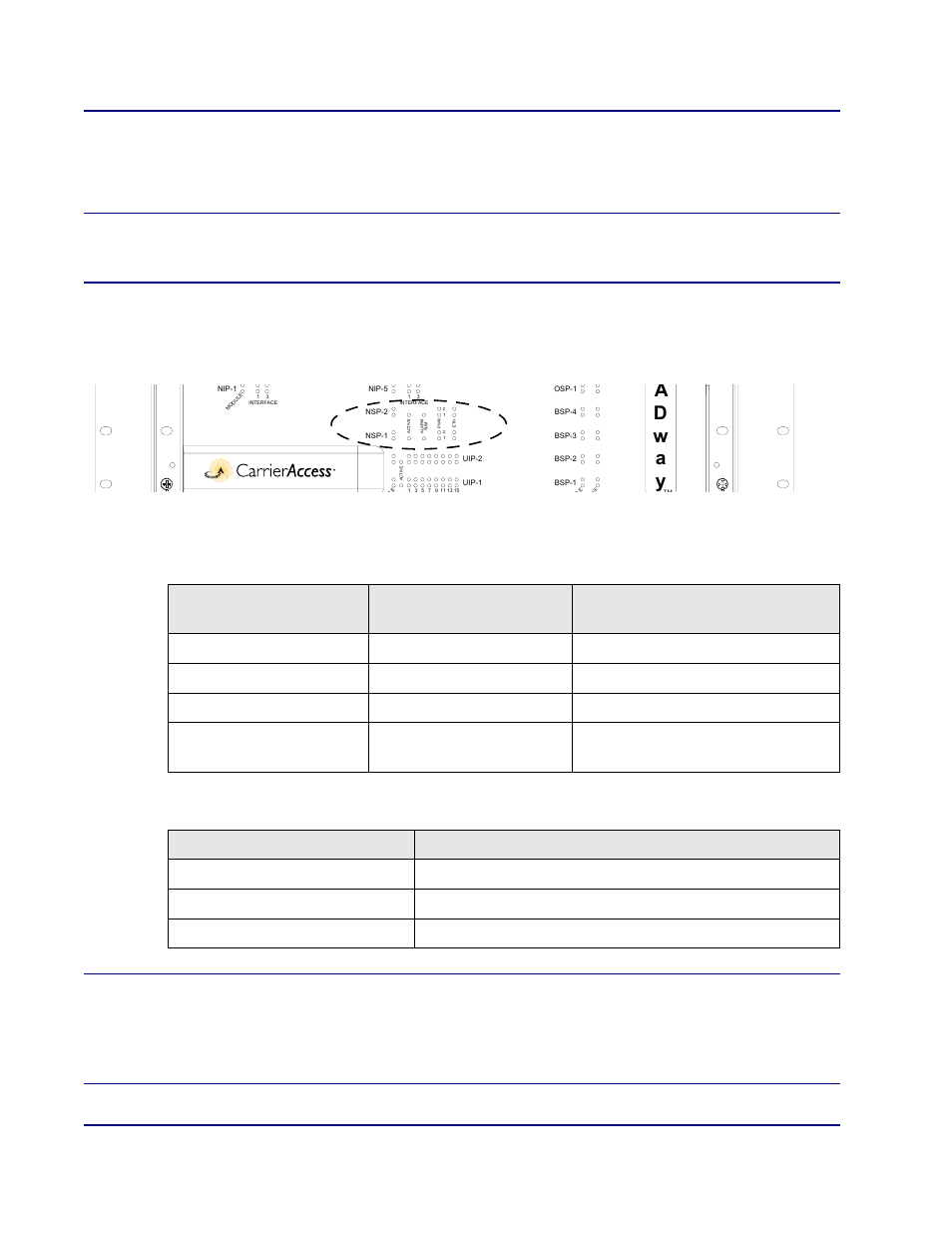 Ad w a y, Installation, Warning | Caution, Broad, Active led, Nsp101 | Carrier Access BROADway System 770-0125-AB User Manual | Page 30 / 96