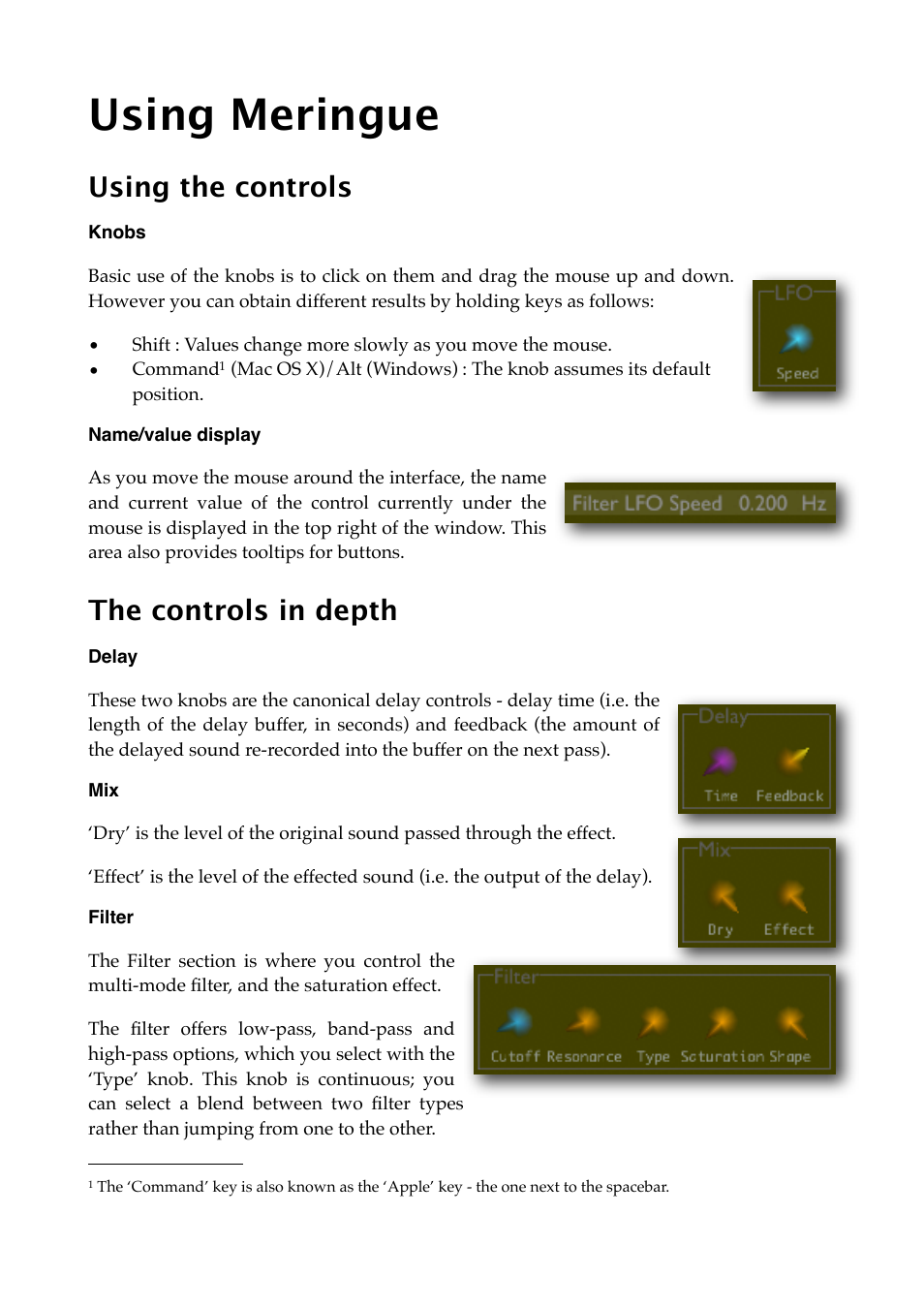Using meringue, Using the controls, Knobs | Name/value display, The controls in depth, Delay, Filter | Expert Sleepers Meringue v2.1.0 User Manual | Page 8 / 12