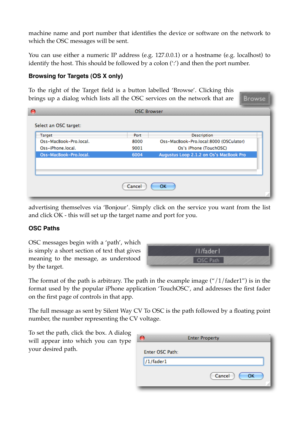 Browsing for targets (os x only), Osc paths | Expert Sleepers Silent Way v1.7.3 User Manual | Page 46 / 72