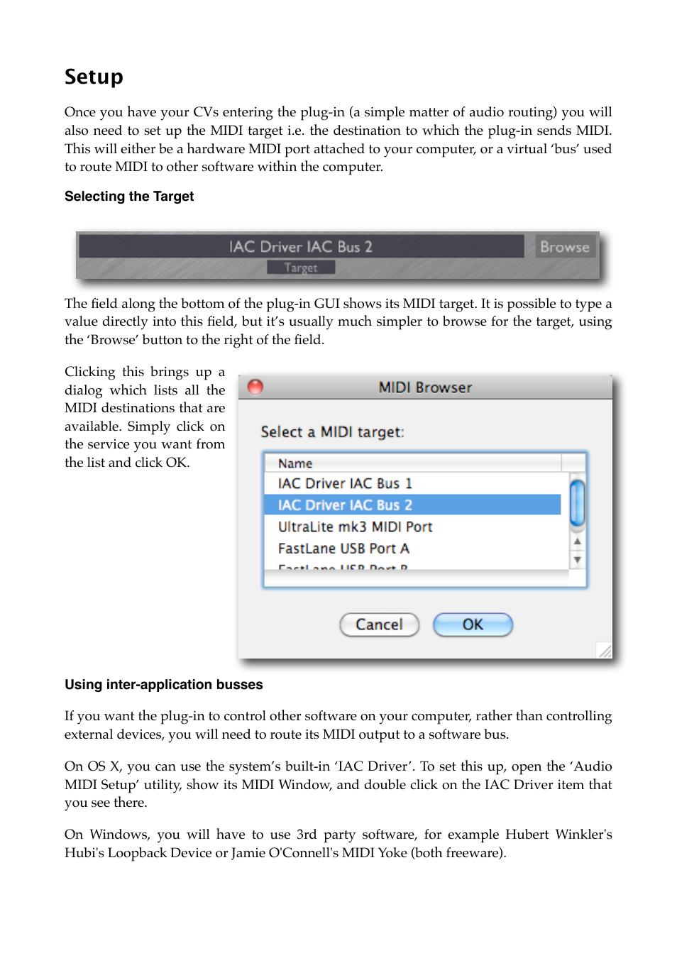 Setup, Selecting the target, Using inter-application busses | Expert Sleepers Silent Way v1.7.3 User Manual | Page 49 / 72