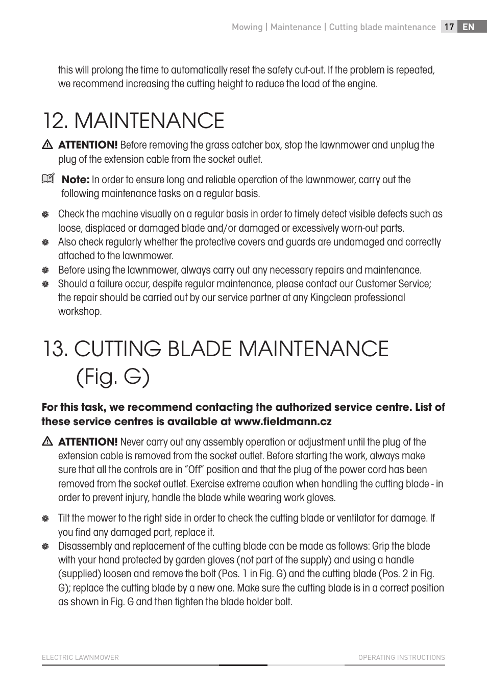 Maintenance, Cutting blade maintenance (fig. g) | Fieldmann FZR 2010-E User Manual | Page 17 / 116