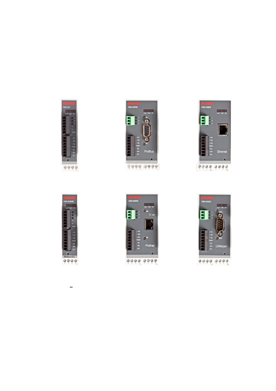 Introduction, Overview, Ntroduction | Flintec FAD-40 User Manual | Page 6 / 52