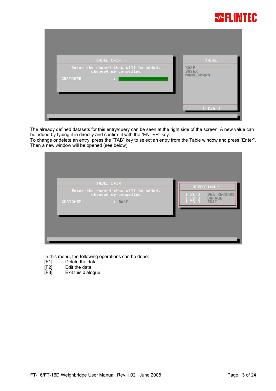 Flintec FT-16D V.1.02 User Manual | Page 13 / 24