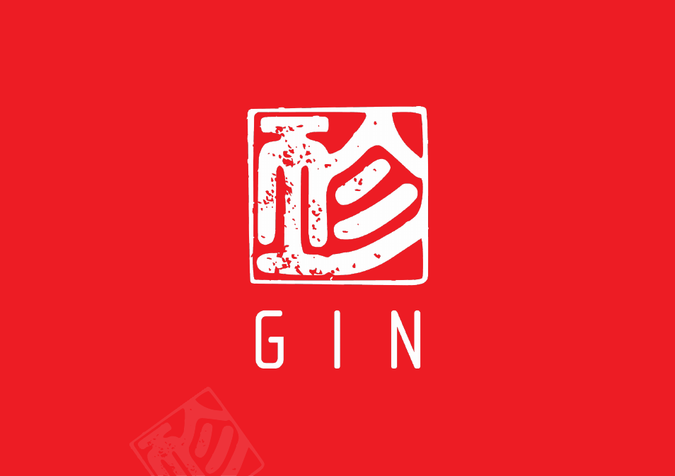 GIN Gingo Airlite User Manual | 36 pages