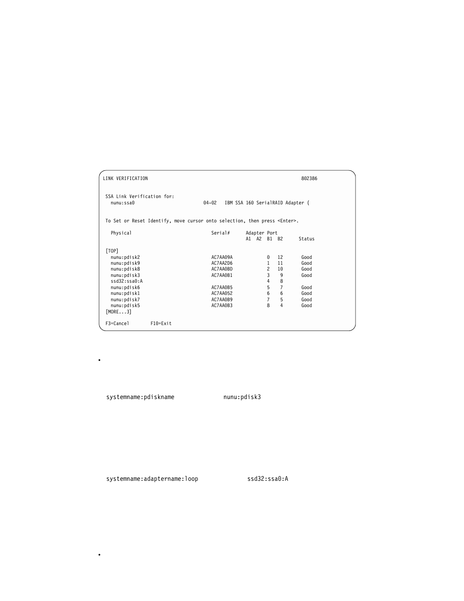 Compex Systems Advanced SerialRAID Adapters SA33-3285-02 User Manual | Page 404 / 531