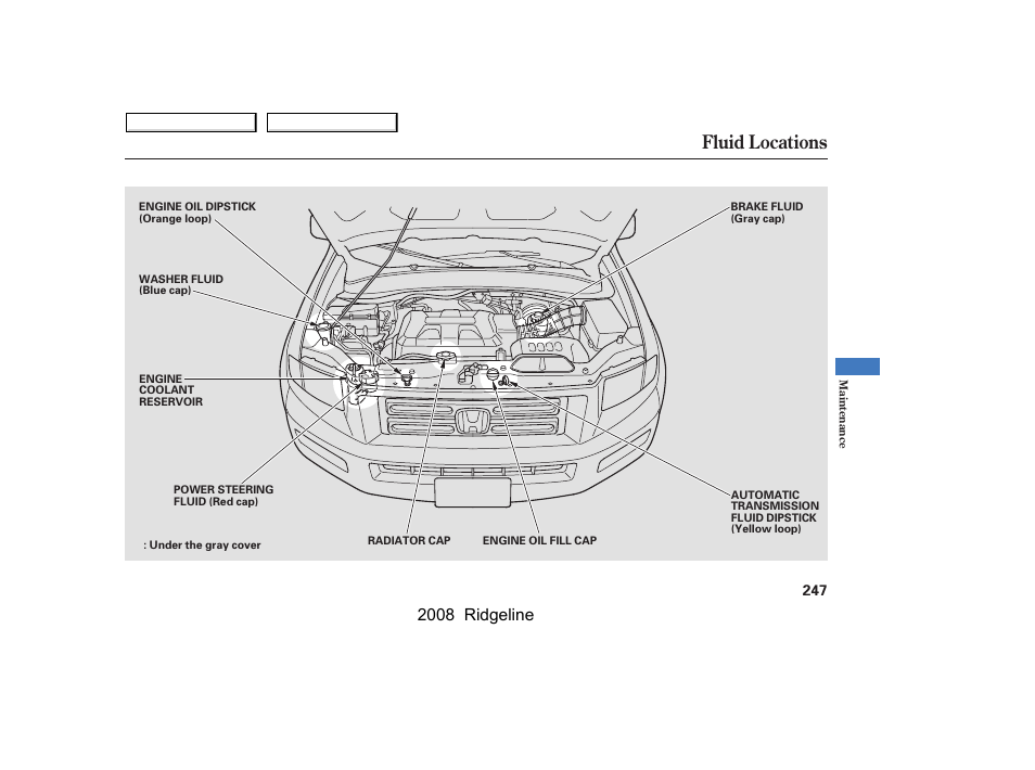Fluid locations, 2008 ridgeline | HONDA 2008 Ridgeline - Owner's Manual User Manual | Page 251 / 341