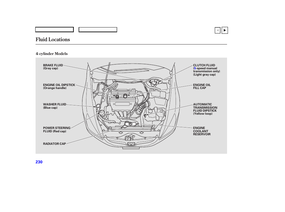 Fluid locations | HONDA 2007 Accord Coupe - Owner's Manual User Manual | Page 233 / 320