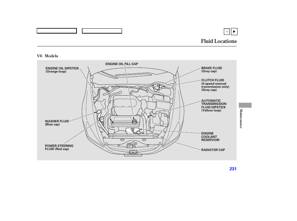 Fluid locations | HONDA 2007 Accord Coupe - Owner's Manual User Manual | Page 234 / 320