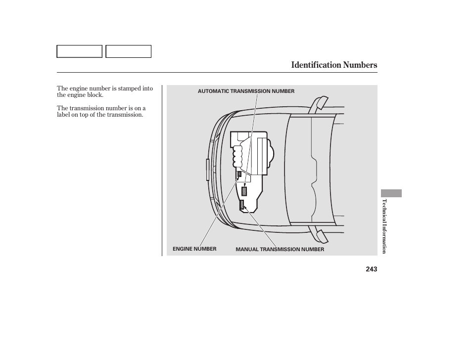 Identification numbers | HONDA 2007 Element - Owner's Manual User Manual | Page 246 / 275