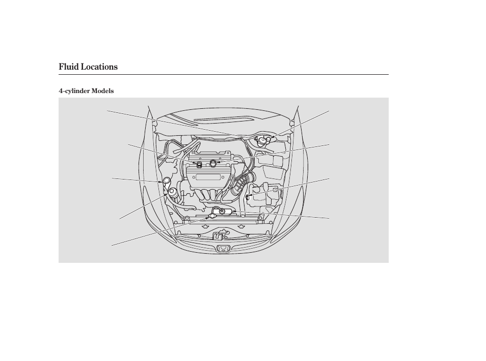 Fluid locations | HONDA 2006 Accord Sedan - Owner's Manual User Manual | Page 203 / 292