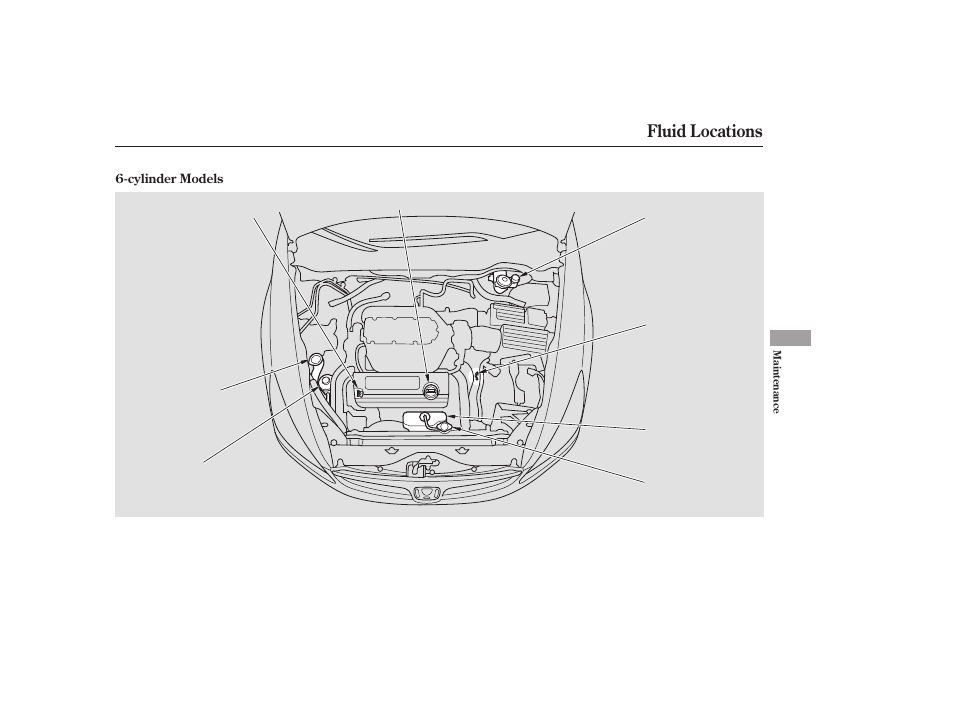 Fluid locations | HONDA 2006 Accord Sedan - Owner's Manual User Manual | Page 204 / 292