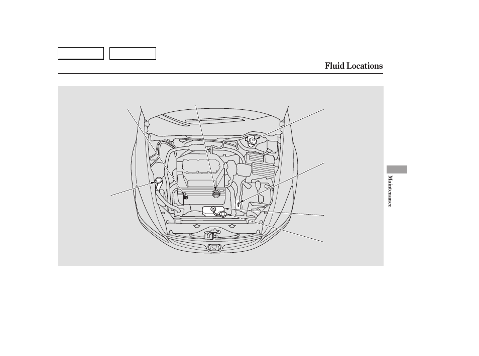 Fluid locations | HONDA 2006 Accord Hybrid - Owner's Manual User Manual | Page 196 / 277