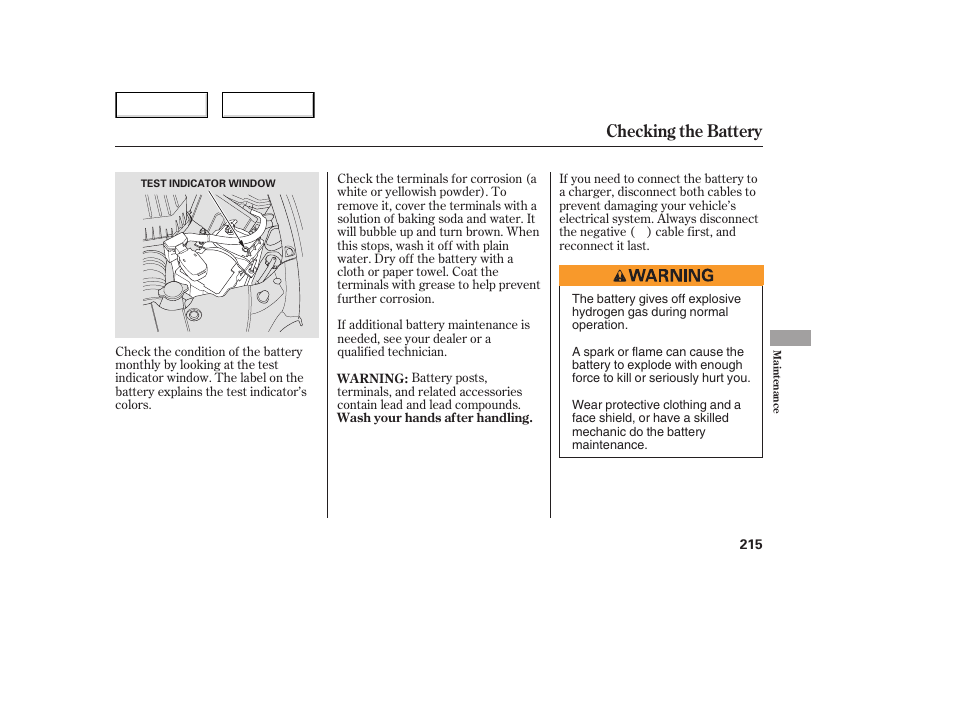 Checking the battery | HONDA 2006 Civic Sedan - Owner's Manual User Manual | Page 216 / 267