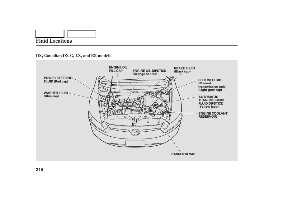 Fluid locations | HONDA 2006 Civic Coupe - Owner's Manual User Manual | Page 222 / 307