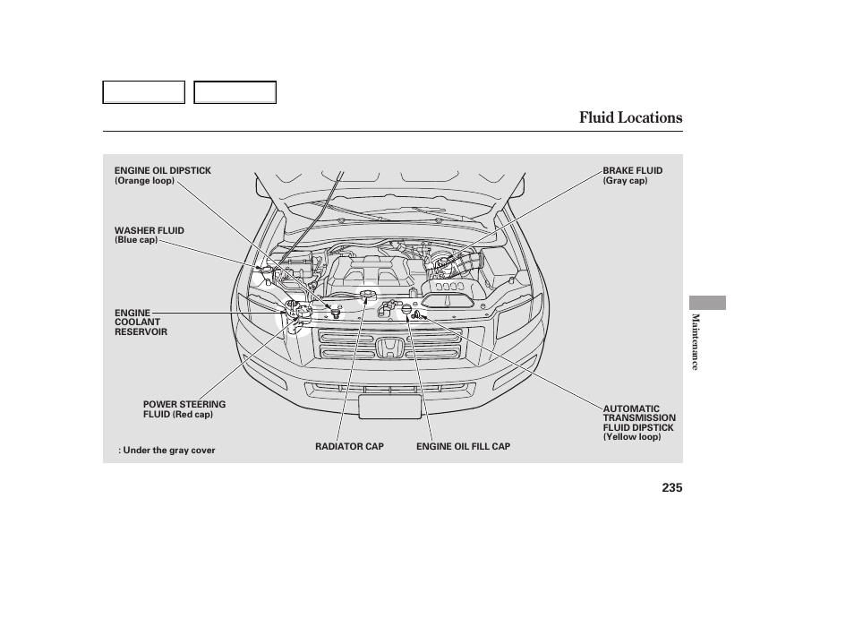 Fluid locations | HONDA 2006 Ridgeline - Owner's Manual User Manual | Page 238 / 320