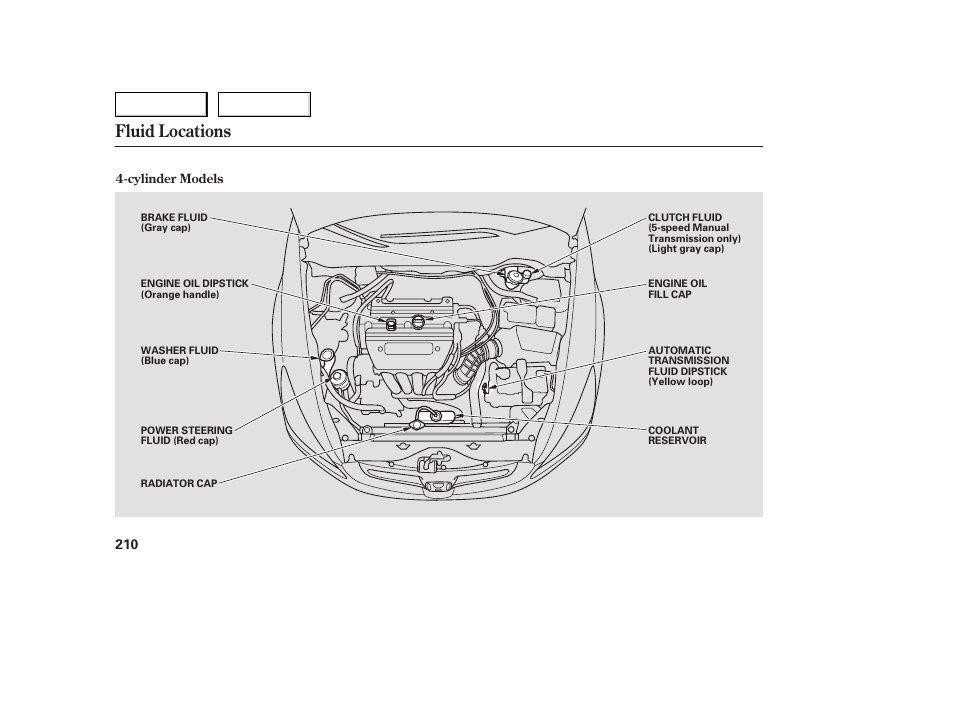 Fluid locations | HONDA 2005 Accord Sedan - Owner's Manual User Manual | Page 211 / 302