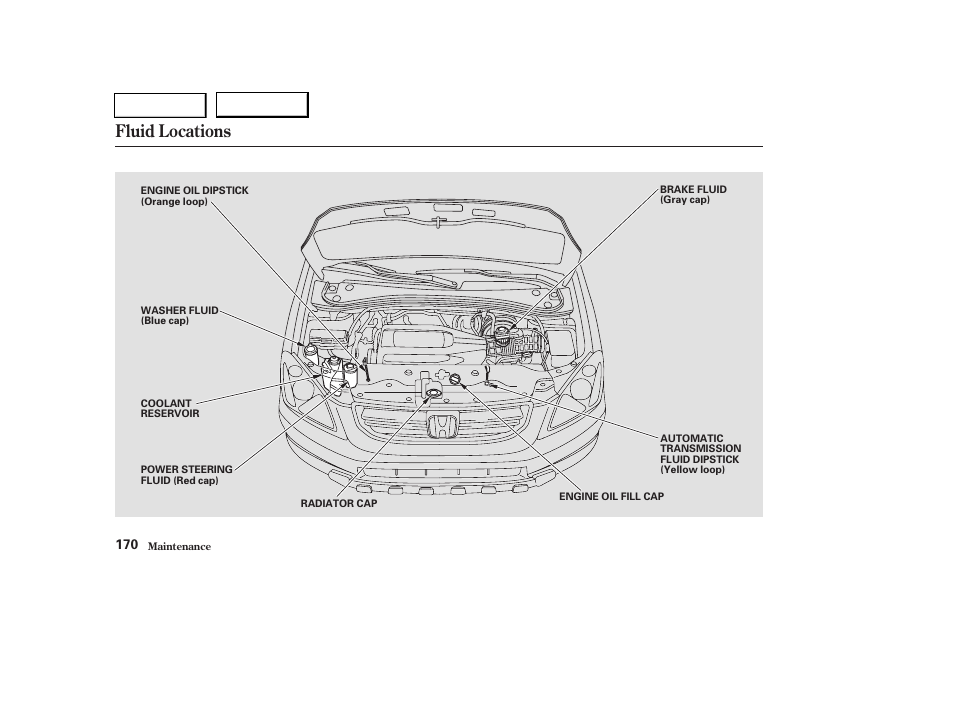 Fluid locations | HONDA 2004 Pilot - Owner's Manual User Manual | Page 174 / 248