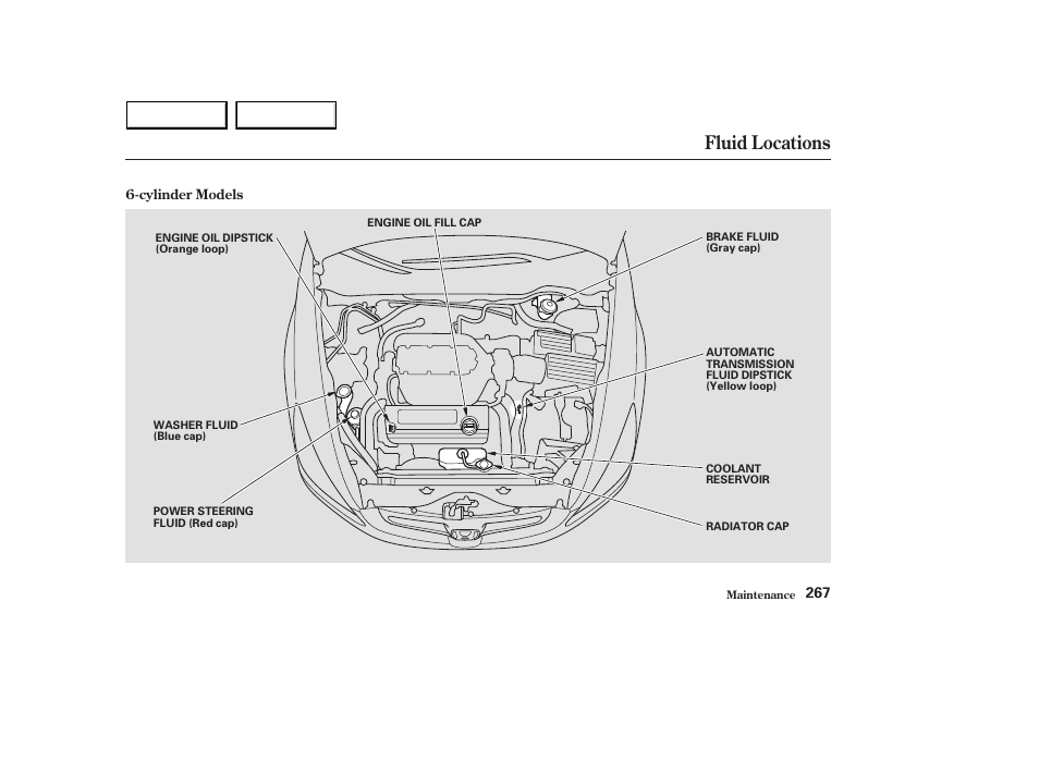 Fluid locations | HONDA 2003 Accord Sedan - Owner's Manual User Manual | Page 270 / 395