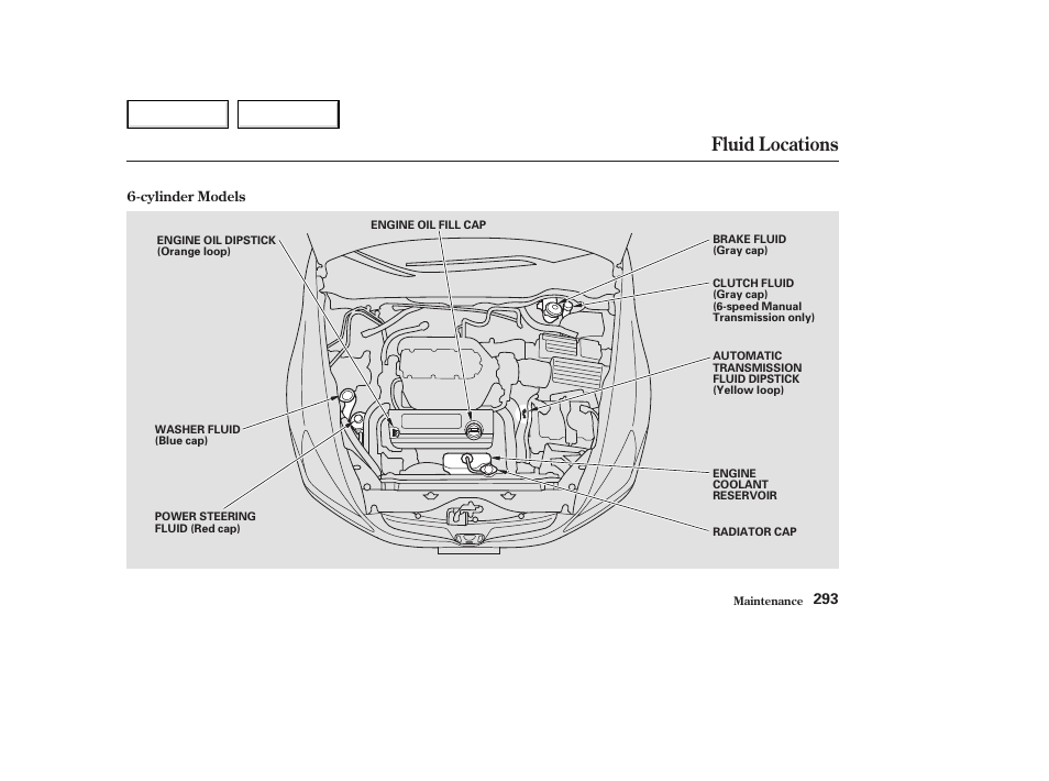 Fluid locations | HONDA 2003 Accord Coupe - Owner's Manual User Manual | Page 296 / 429
