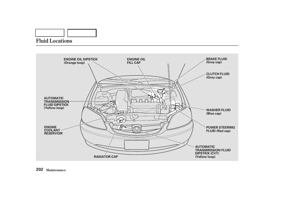 Fluid locations | HONDA 2003 Civic Coupe - Owner's Manual User Manual | Page 205 / 319