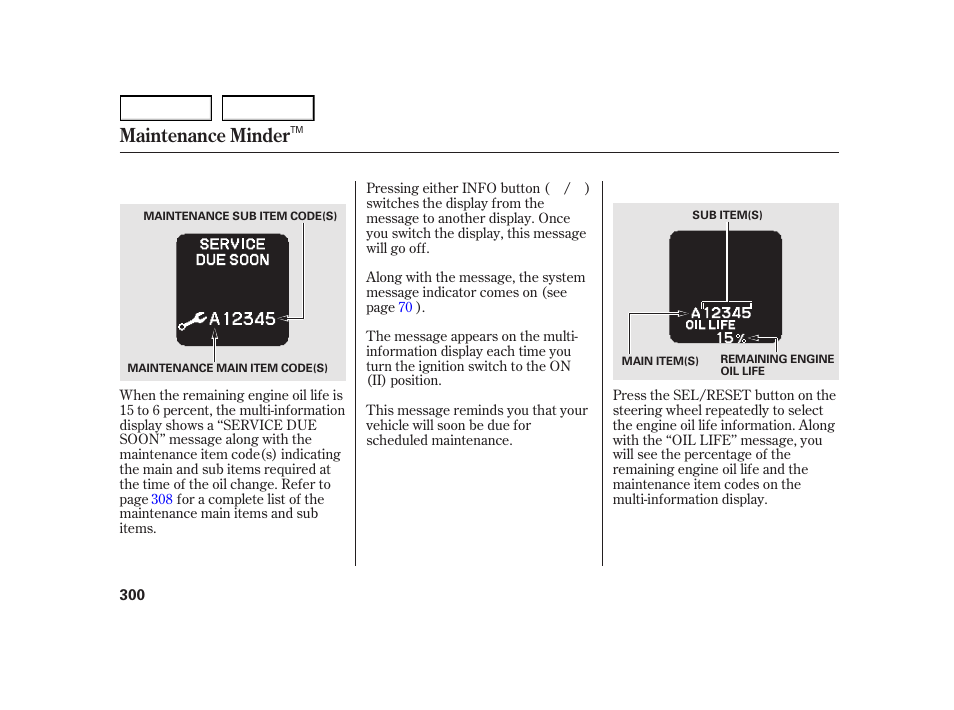 Maintenance minder | HONDA 2003 Insight  - Owner's Manual User Manual | Page 304 / 411