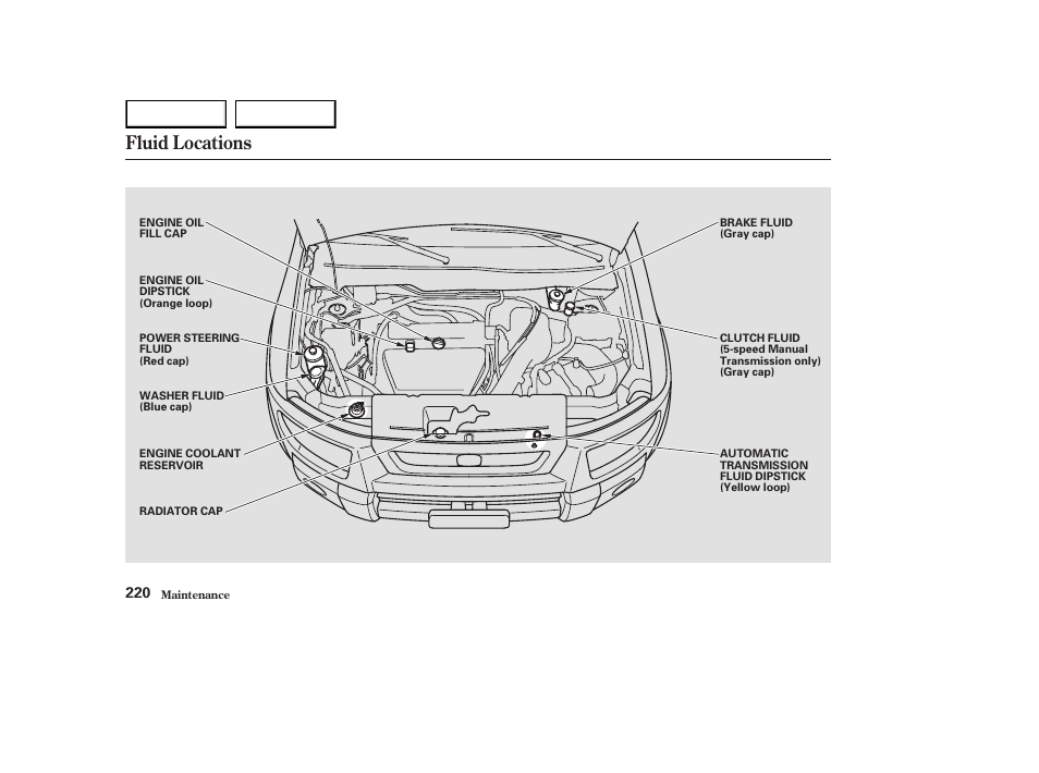 Fluid locations | HONDA 2003 Element - Owner's Manual User Manual | Page 224 / 338