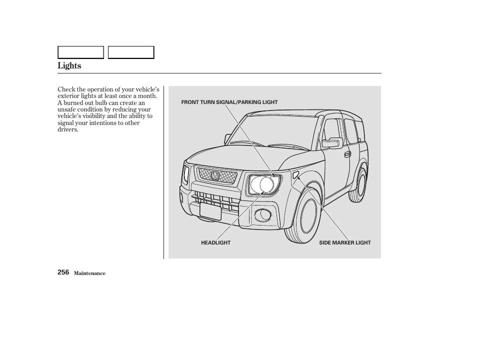 Lights | HONDA 2003 Element - Owner's Manual User Manual | Page 260 / 338