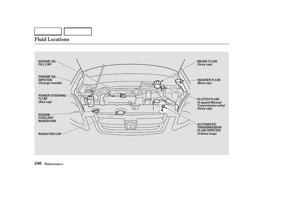 Fluid locations | HONDA 2003 CR-V - Owner's Manual User Manual | Page 250 / 374