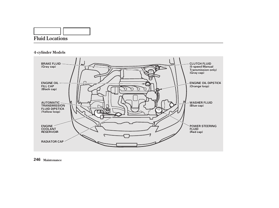 Fluid locations | HONDA 2002 Accord Coupe - Owner's Manual User Manual | Page 249 / 375
