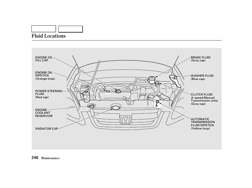 Fluid locations | HONDA 2002 CR-V - Owner's Manual User Manual | Page 250 / 372