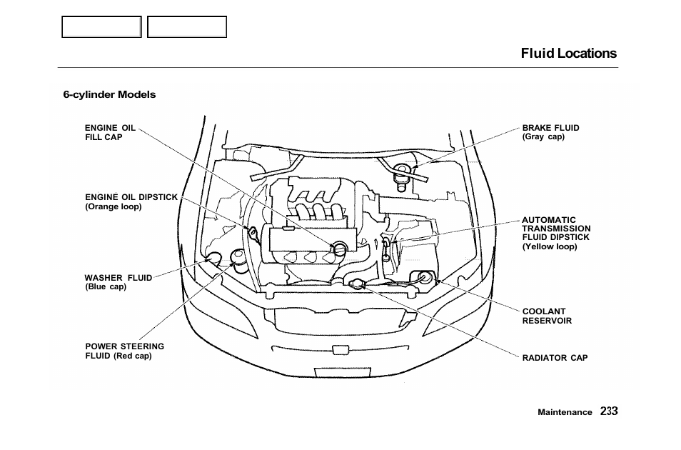 Fluid locations | HONDA 2001 Accord Sedan - Owner's Manual User Manual | Page 236 / 372