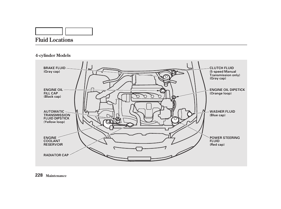 Fluid locations | HONDA 2001 Accord Coupe - Owner's Manual User Manual | Page 231 / 359