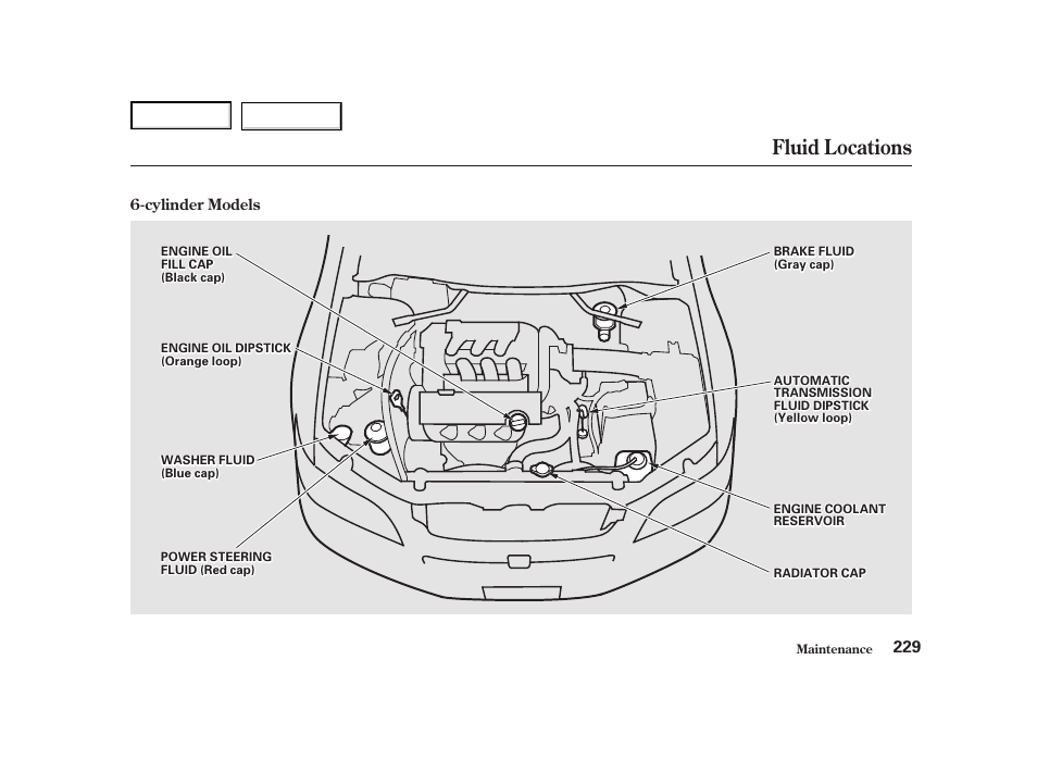 Fluid locations | HONDA 2001 Accord Coupe - Owner's Manual User Manual | Page 232 / 359