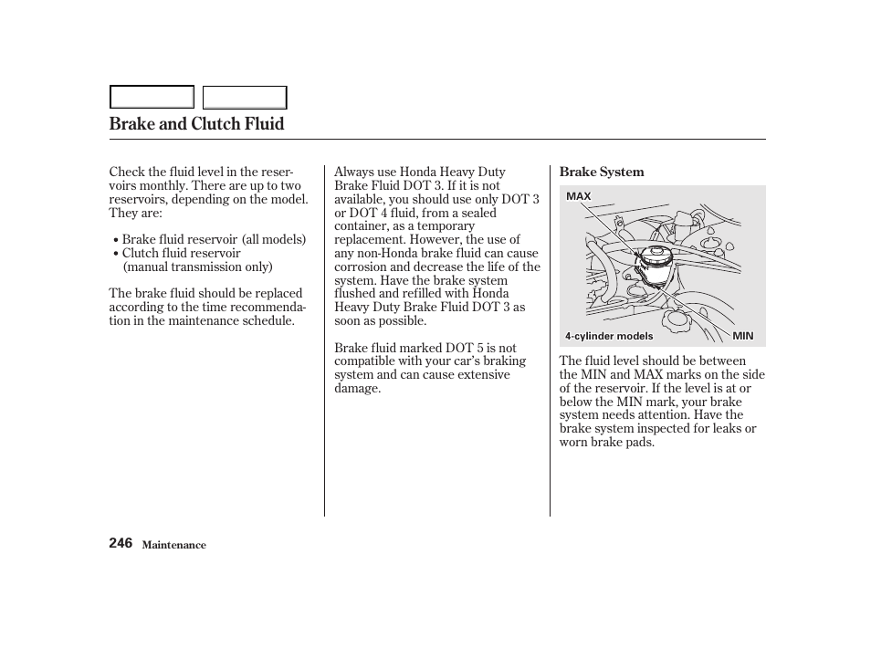 Brake and clutch fluid | HONDA 2001 Accord Coupe - Owner's Manual User Manual | Page 249 / 359