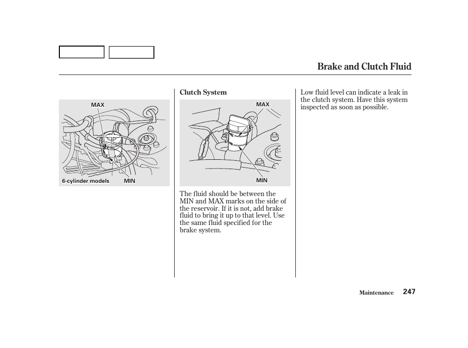 Brake and clutch fluid | HONDA 2001 Accord Coupe - Owner's Manual User Manual | Page 250 / 359