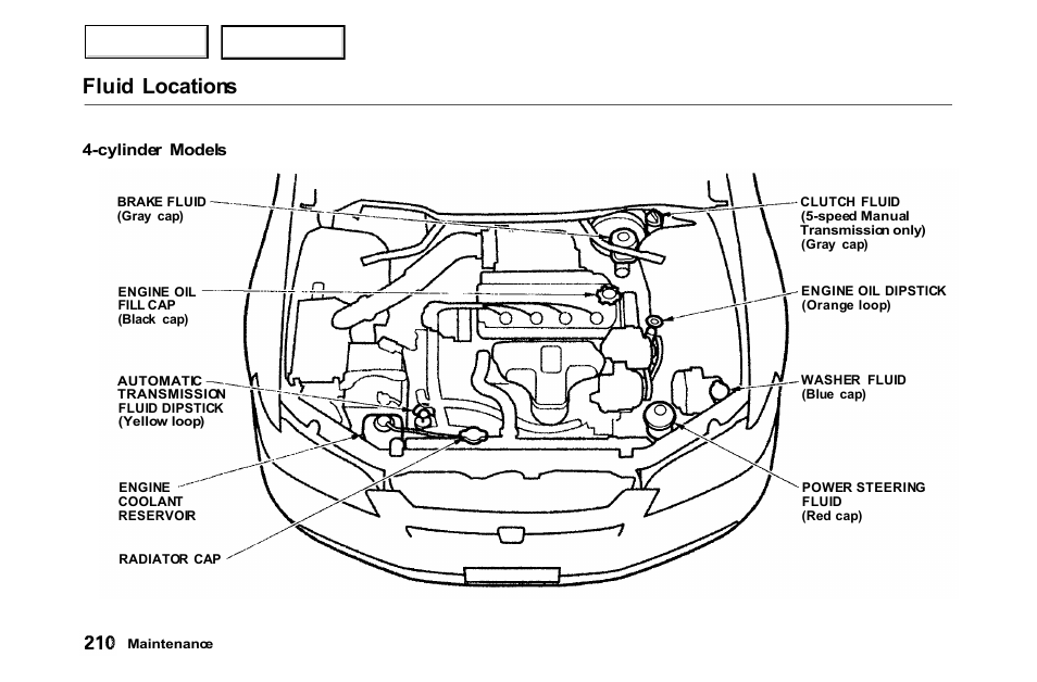 Fluid locations | HONDA 2000 Accord Coupe - Owner's Manual User Manual | Page 213 / 338