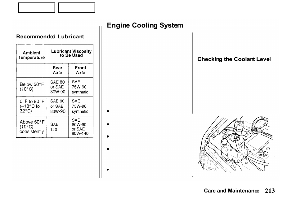 Engine cooling system | HONDA 2000 Passport - Owner's Manual User Manual | Page 216 / 267