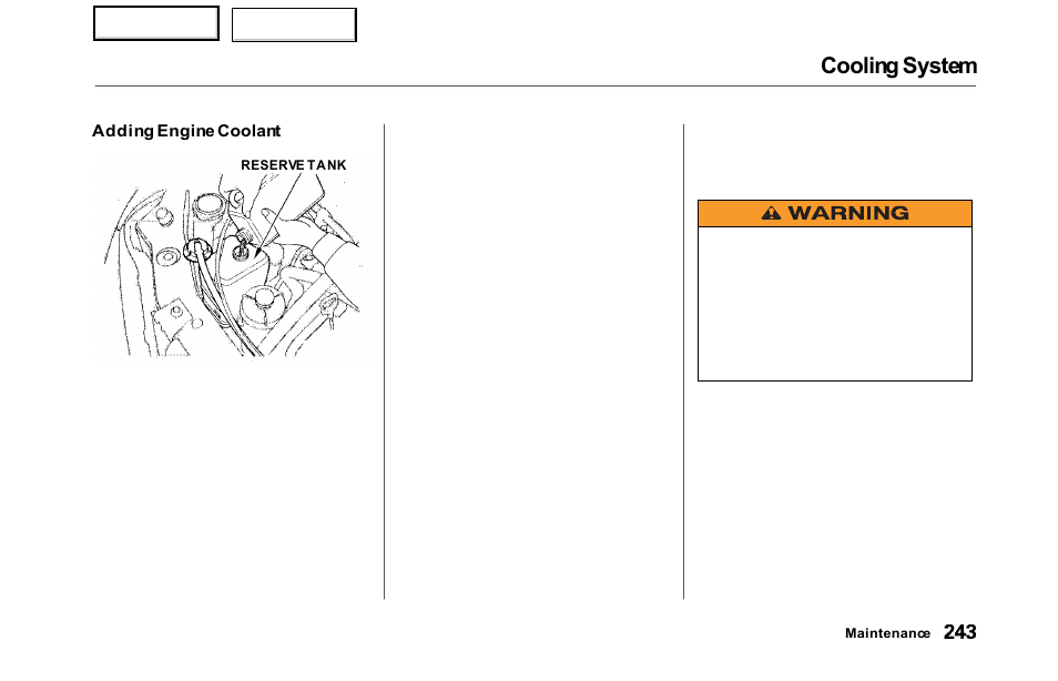 Cooling system | HONDA 2000 Odyssey - Owner's Manual User Manual | Page 246 / 352