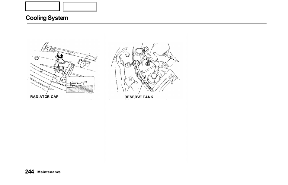 Cooling system | HONDA 2000 Odyssey - Owner's Manual User Manual | Page 247 / 352