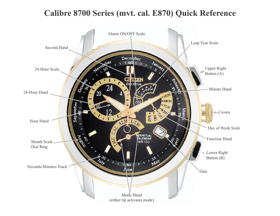 CITIZEN CALIBRE 8700 User Manual | 8 pages