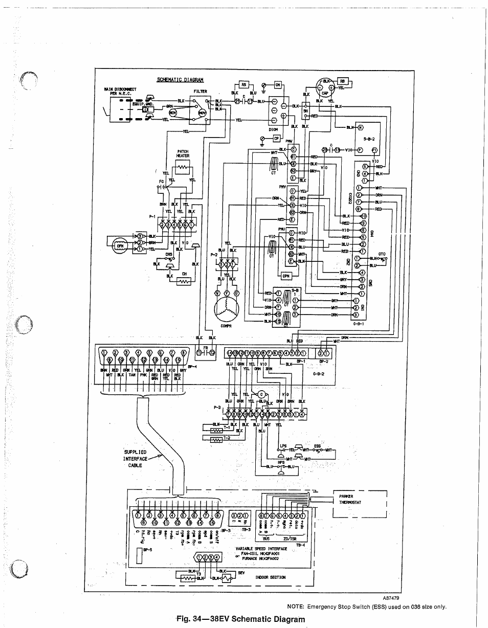 Carrier 38EV024320 User Manual | Page 45 / 52