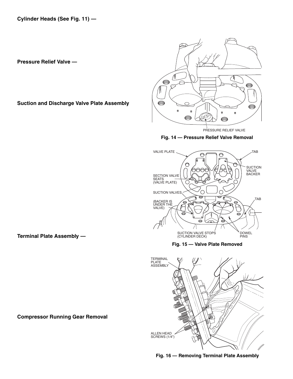 Carrier Compressor and Condensing Unit User Manual | Page 14 / 20