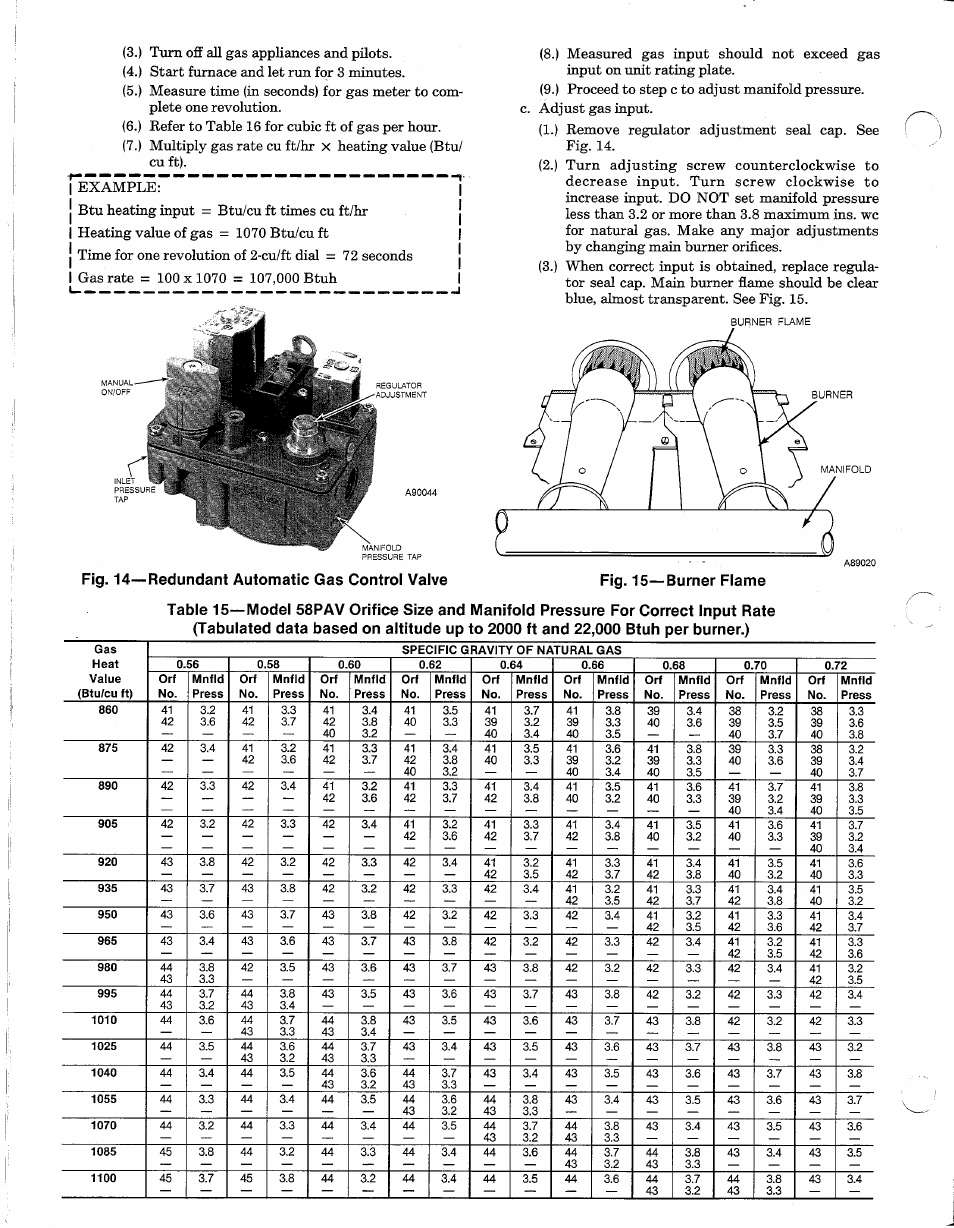 Carrier 58PAV User Manual | Page 14 / 16