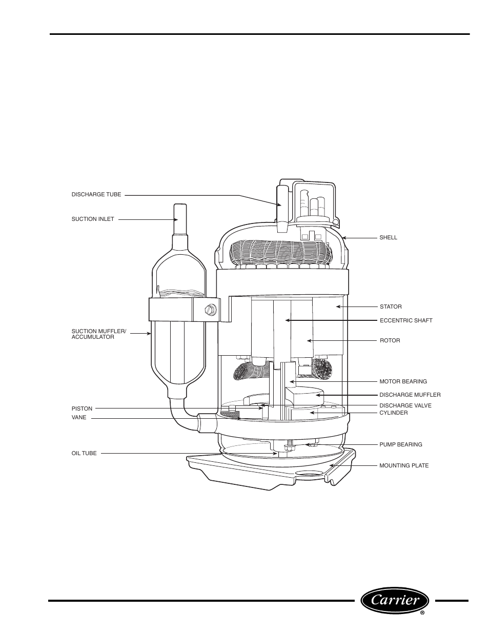 Compressor | Carrier P User Manual | Page 13 / 52