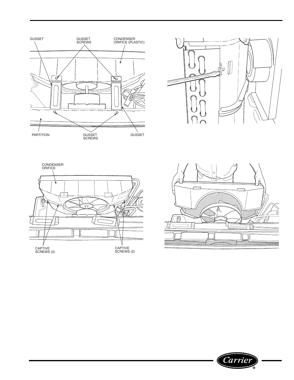 Carrier P User Manual | Page 7 / 52