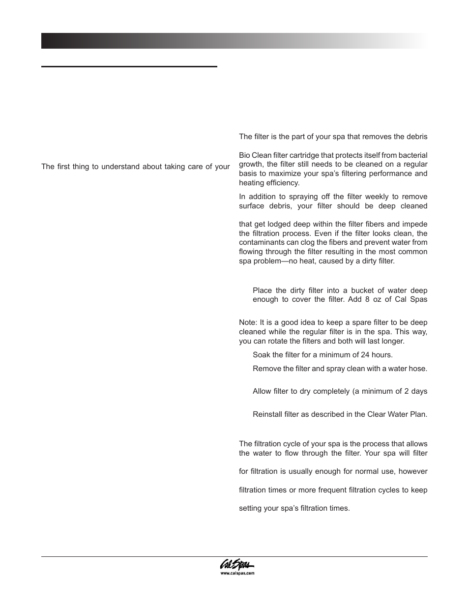 Water quality maintenance, Cal spas clear water plan, Alternative sanitation options | Before you begin | Cal Spas 6300 User Manual | Page 22 / 52