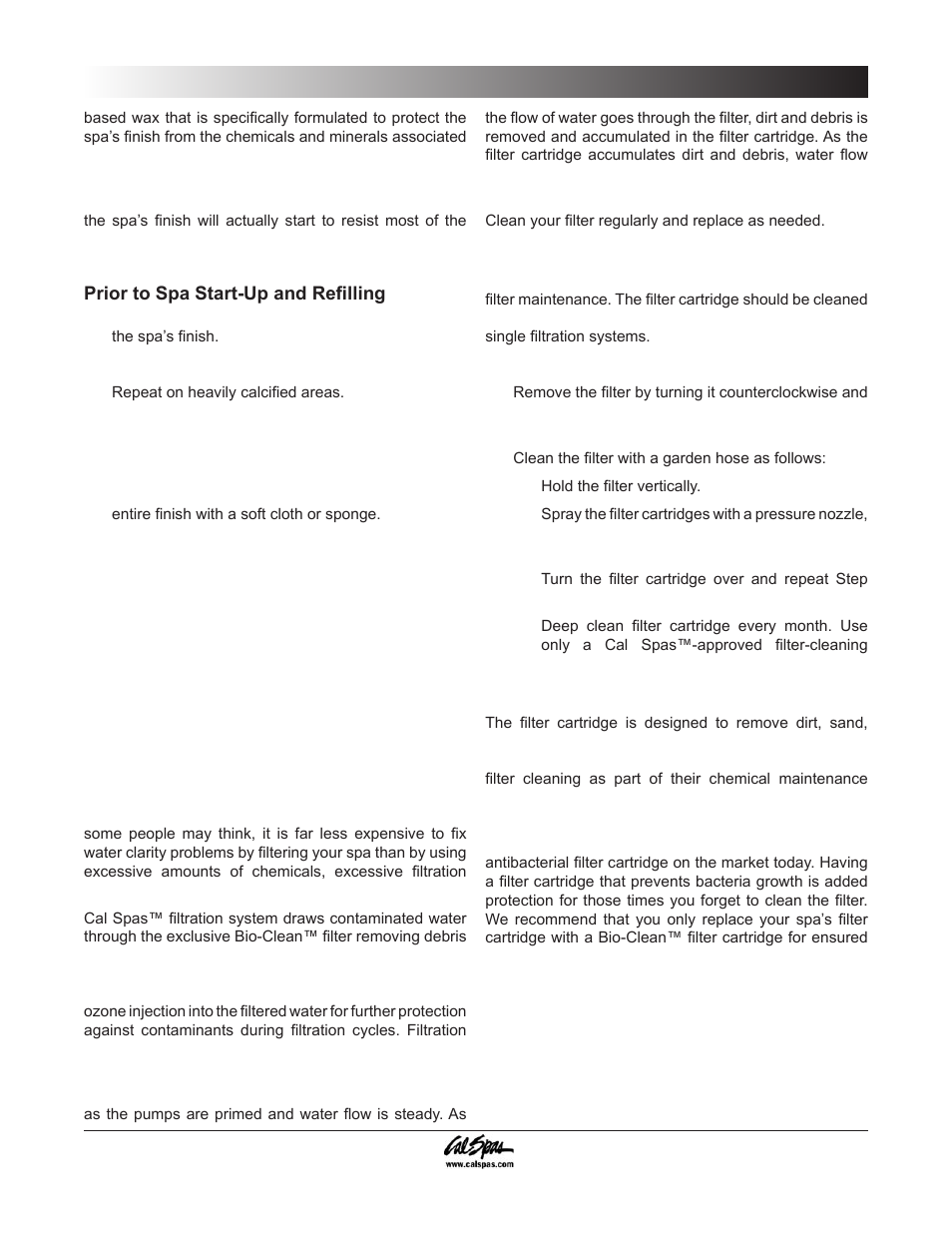 Cleaning and replacing the filter, Cleaning and maintenance | Cal Spas 6300 User Manual | Page 33 / 52