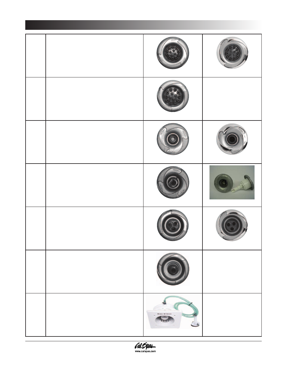 Appendix | Cal Spas 6300 User Manual | Page 38 / 52