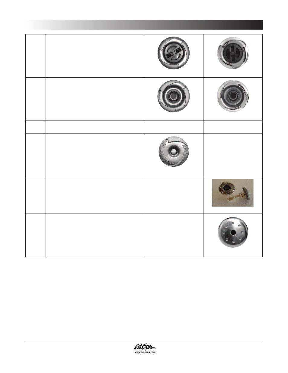 Appendix | Cal Spas 6300 User Manual | Page 39 / 52