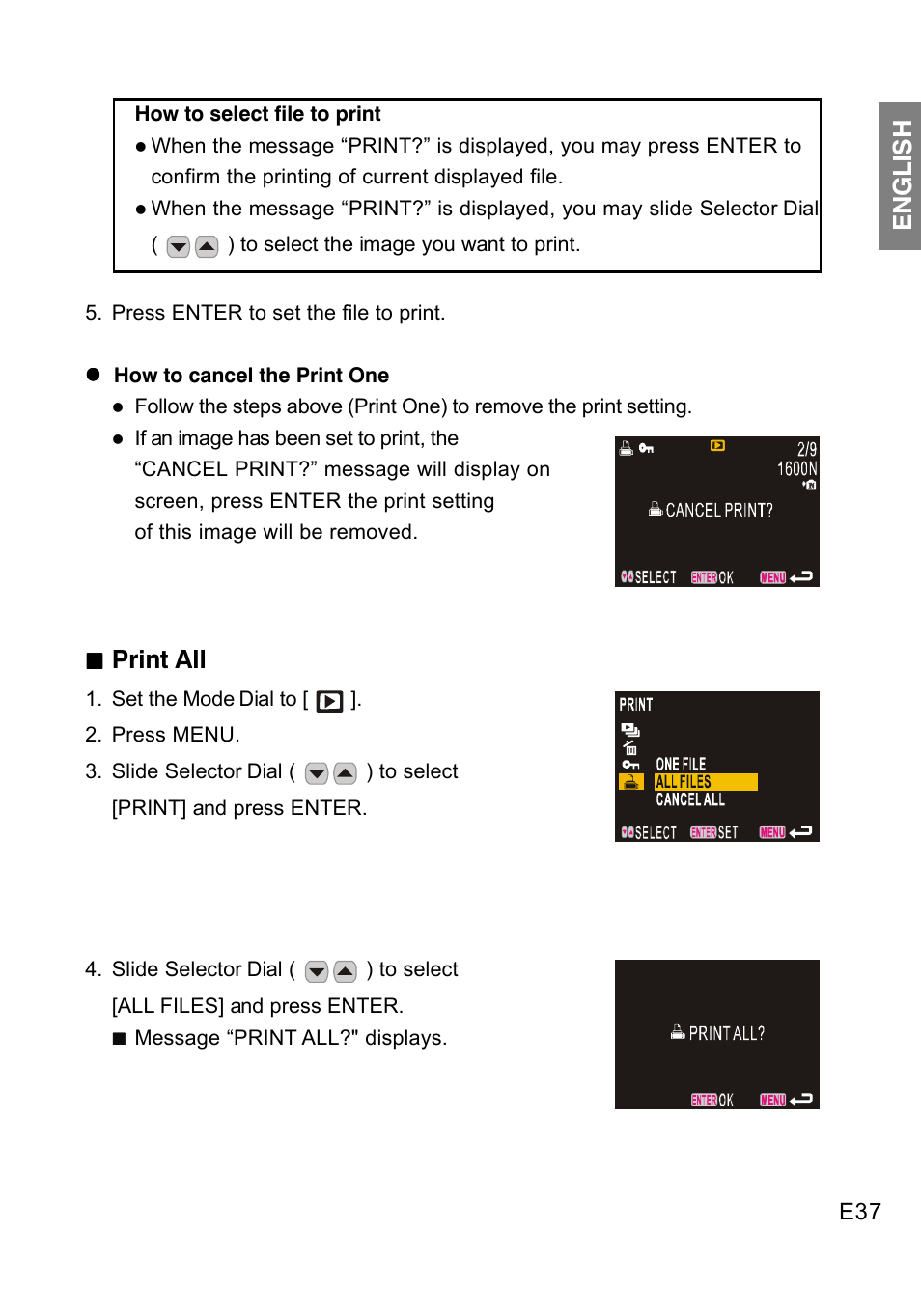 English, Print all | Concord Camera DV2020 User Manual | Page 38 / 69